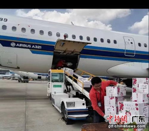 南航物流攜手廣東省農業(yè)農村廳助力‘荔’啟航，廣州物流賦能現(xiàn)代農業(yè)新篇章